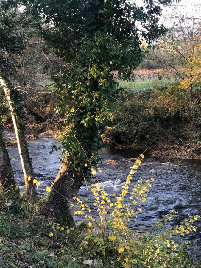 Au petit Paradis La Roquebrussanne Bagian luar foto